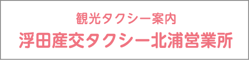 観光タクシー案内 浮田産交タクシー北浦営業所